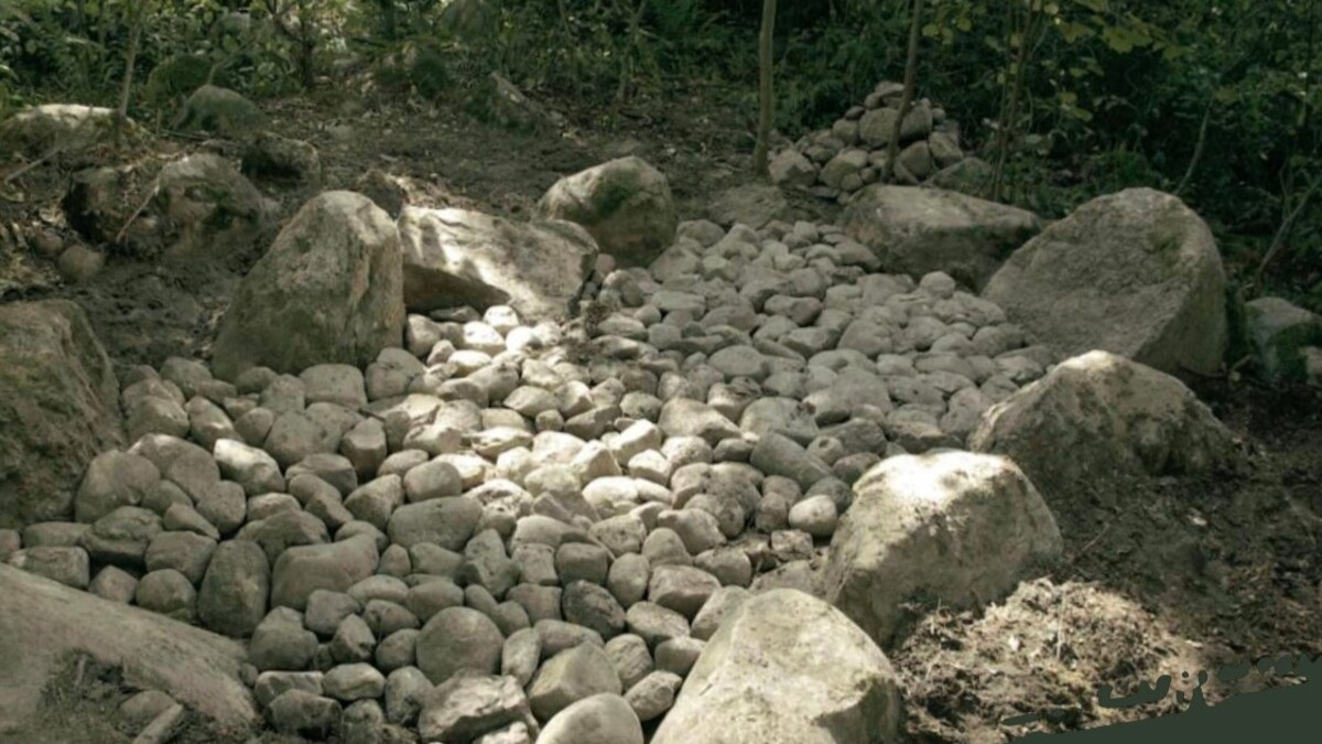 Kogo chowano w grobach z obstawami kamiennymi? - wykład prof. Andrzeja Buko