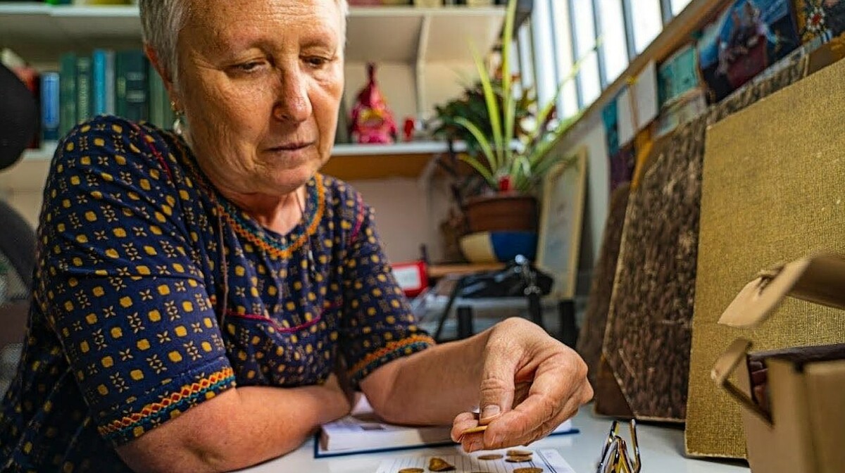 Dr Gabriela Bijovsky bada złote solidy ze skarbu z Banjas (VII w.). Źródło: <a href='https://www.facebook.com/AntiquitiesEN/posts/pfbid0X15hmHaS5rG2H47xo1hSrgZkrosKYfRFebFXXEnX2yD8imDnNgV1G3tZMPvMw6Ayl' rel='noopener'>Israel Antiquities Authority</a>.