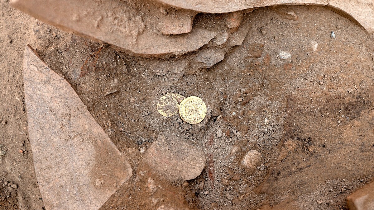 Złote monety podczas prac archeologicznych w Efezie, Turcja. Źródło: <a href='https://www.oeaw.ac.at/fileadmin/NEWS/2022/IMG/ephesos/thumb/ephesos_oeai_oeaw_sk_2.jpg' rel='noopener'>OeAW</a>.