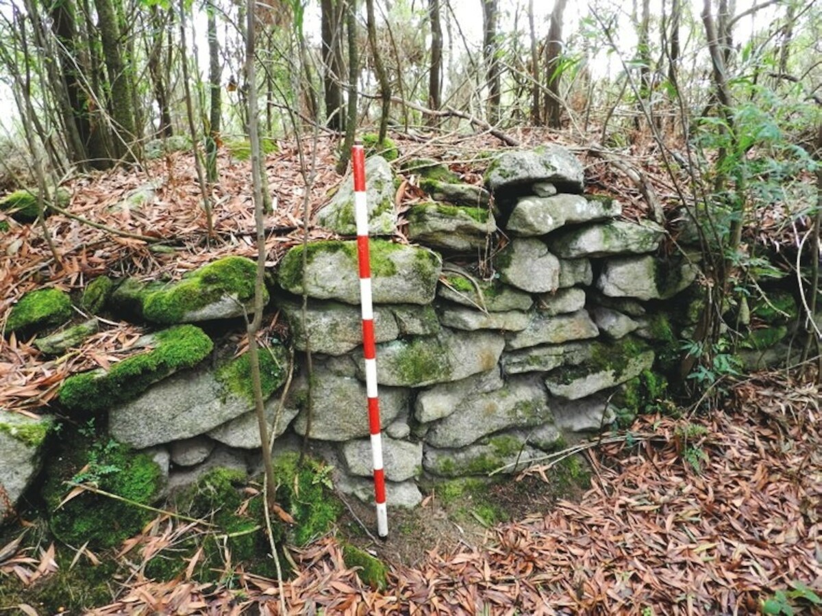 Fragment wczesnośredniowiecznych murów obronnych w północno-zachodnim sektorze Castro Valente, Hiszpania. Źródło: M. Fernandez-Pereiro, J. C. Sanchez-Pardo, Buscando un castillo altomedieval entre la vegetación. El caso de Castro Valente (Padrón, Galicia), Cuadernos de Arqueología de la Universidad de Navarra, t. 30 (2022), s.62, fig. 6 </a>.