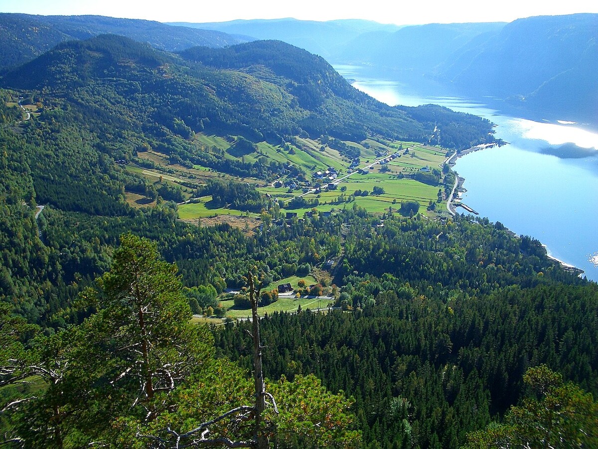 Widok na Byglandsfjorden w Setesdal w Norwegii. Źródło: <a href='https://en.wikipedia.org/wiki/Setesdal#/media/File:%C3%85raksb%C3%B8.JPG' rel='noopener'>domena publiczna</a>.