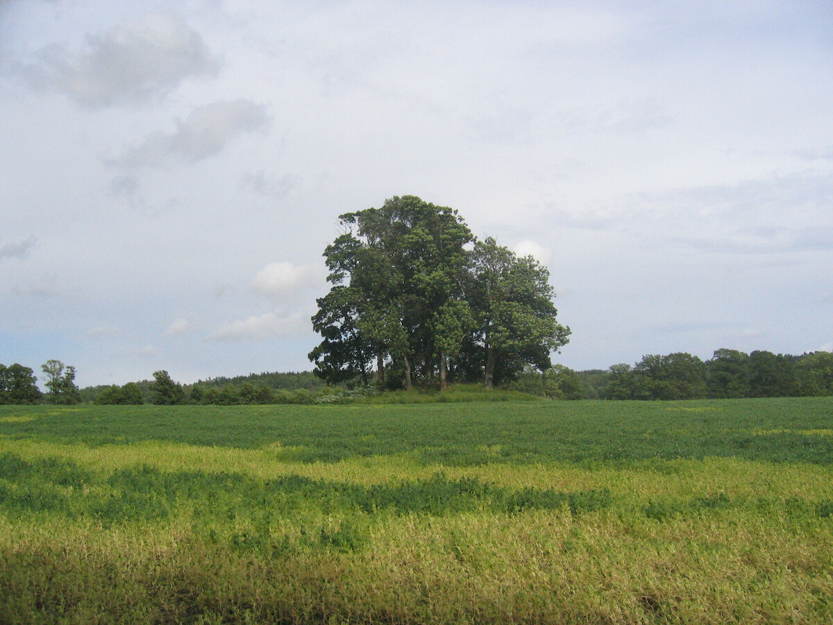 Kopiec Farmannshaugen uważany do tej pory za kurhan Bjørna Farmanna (<a href='https://commons.wikimedia.org/wiki/File:T%C3%B8nsberg_Farmandshaugen.JPG'>licencja CC BY 2.5</a>)
