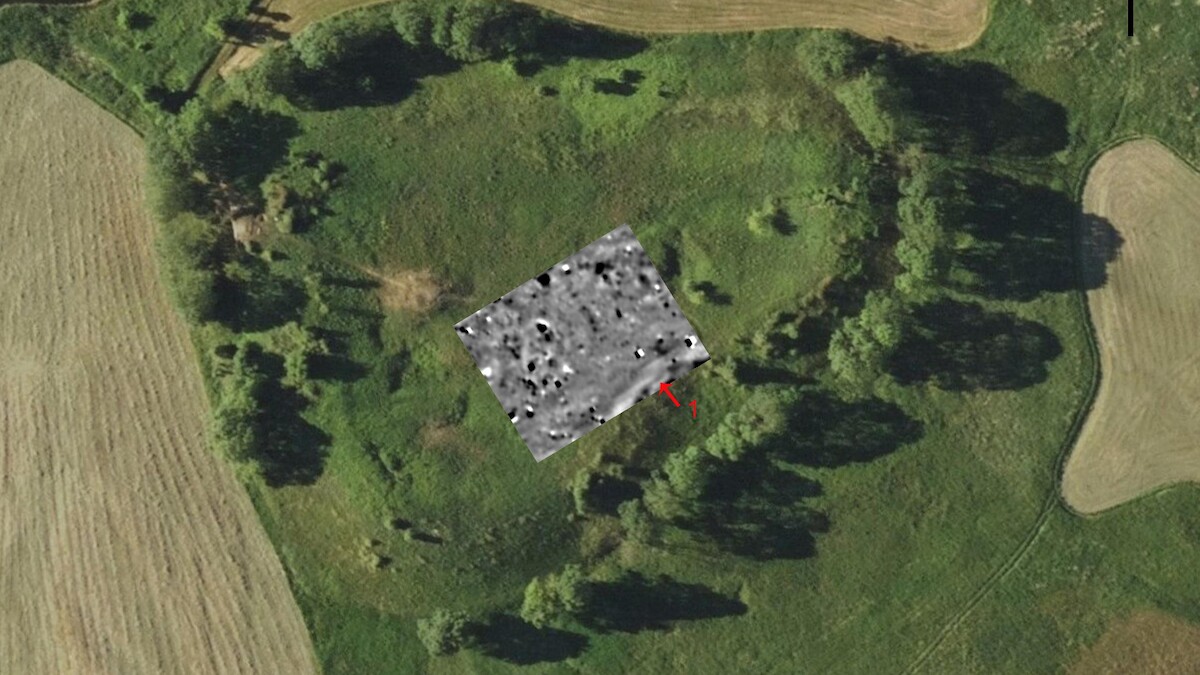 Wyniki nieinwazyjnych badań archeologicznych (elektrooporowych i magnetycznych) przeprowadzonych w 2021 r. na stanowisku Grodzisko w Wiślicy, pow. buski, woj. świętokrzyskie